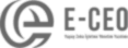 E-CEO