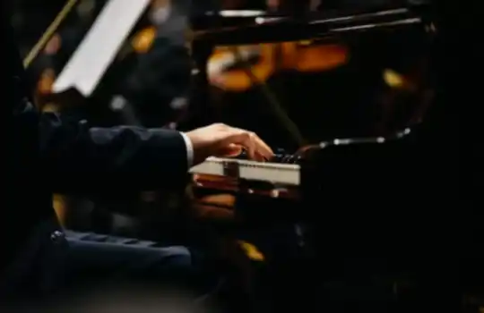 Tuslu Calgi Kurslari